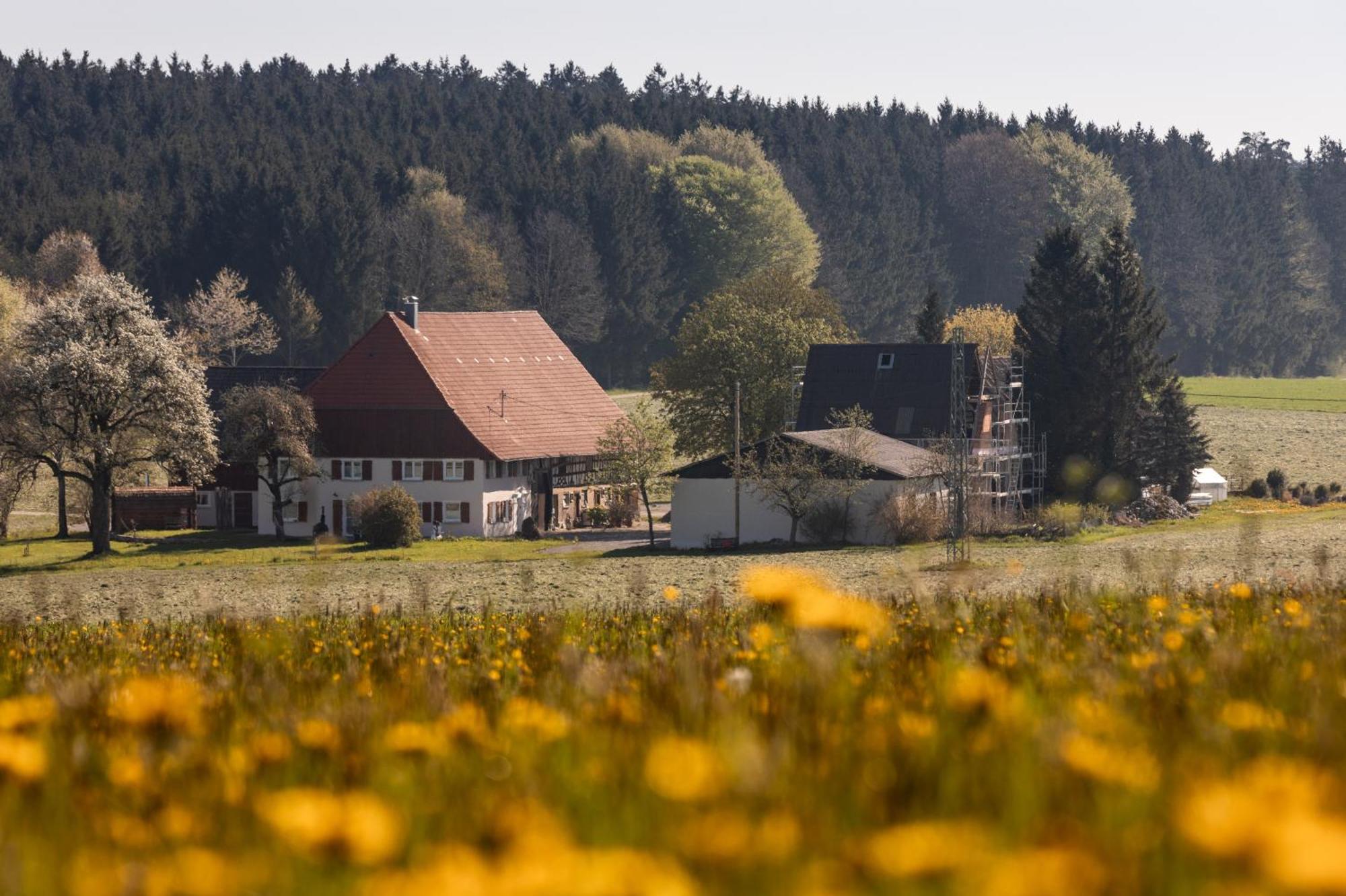 Ferienhof Greuthof Bad Wurzach Luaran gambar